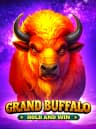BitStarzカジノでGrand Buffalo Hold and Winをプレイ