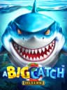 Play A Big Catch - Hold & Win At BitStarz Casino