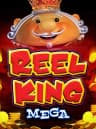 Play Reel King Mega At BitStarz Casino
