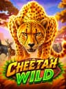 Play Cheetah Wild At BitStarz Casino