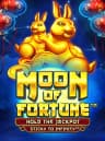 在 BitStarz 娱乐场玩Moon of Fortune