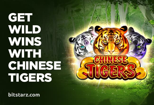 Get Wild Wins with Chinese Tigers!