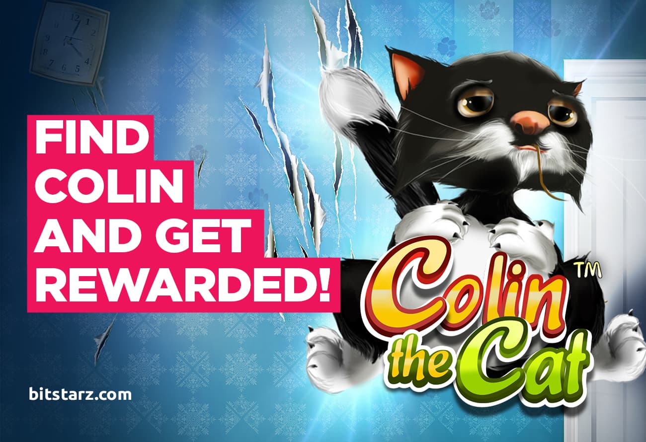 Bag-Purrfect-Wins-in-Colin-the-Cat-Slot