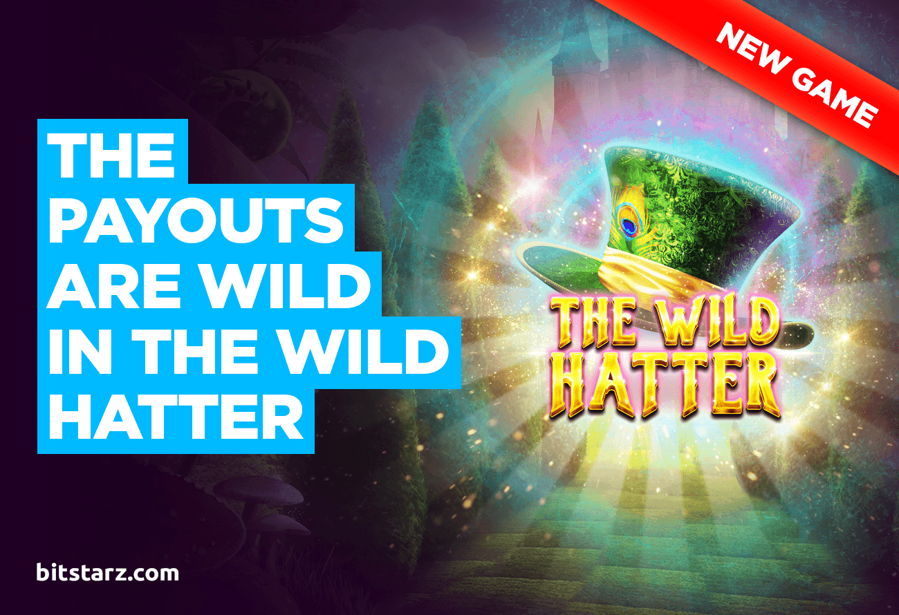 The-Wild-Hatter-Sun03