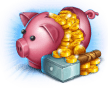 Piggyz Break
