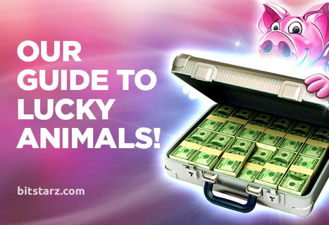 Five-Animals-That-Might-Breathe-Good-Luck-Into-Your-Play