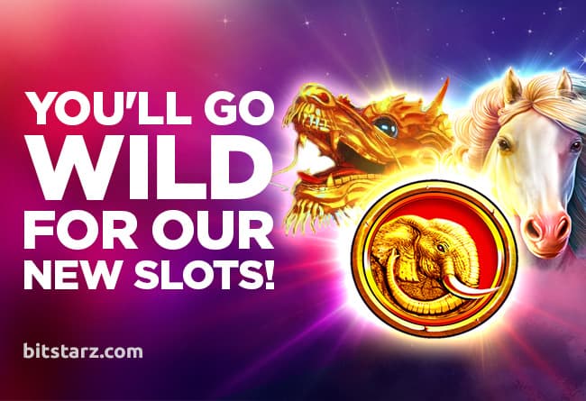 You’ll-Go-Wild-for-Our-New-Slots!!
