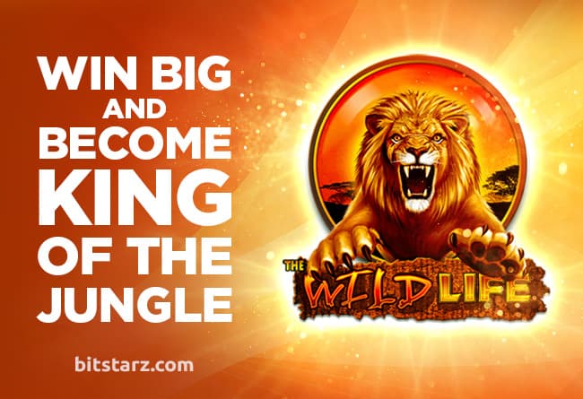 Win-Big-in-The-Wildlife-to-Become-King-of-the-Jungle