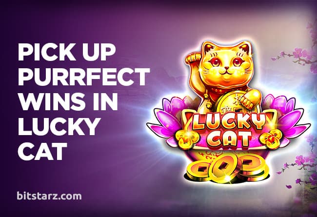 Pick-Up-Purrfect-Wins-in-Lucky-Cat