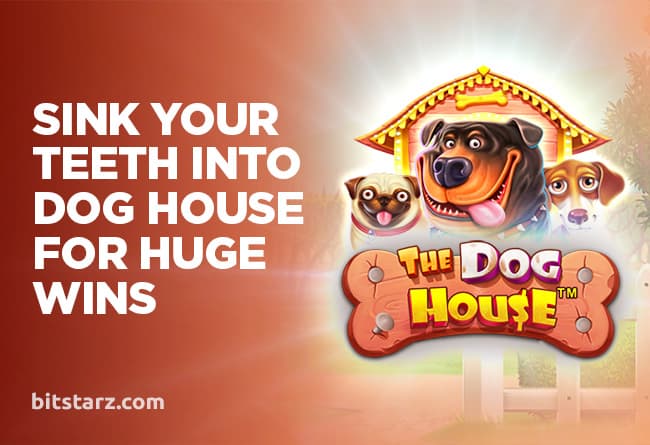 Sink-Your-Teeth-into-Dog-House-for-Huge-Wins