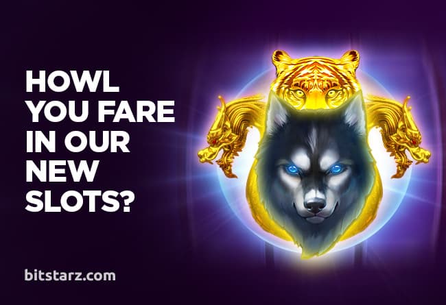 Howl-You-Fare-in-Our-New-Slots