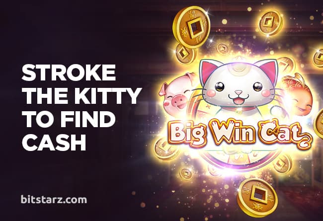 Pet-the-Kitty-and-Strike-it-Rich-in-Big-Win-Cat-Slot