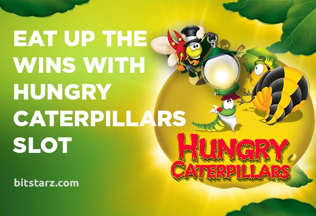 Eat-up-the-Wins-with-Hungry-Caterpillars-Slot