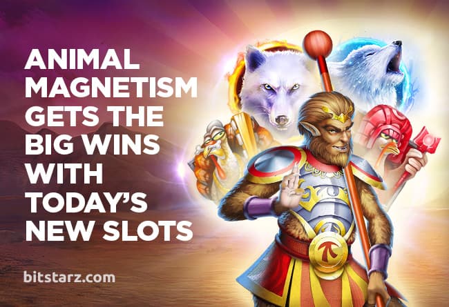 Animal-Magnetism-Gets-the-Big-Wins-with-Todays-New-Slots