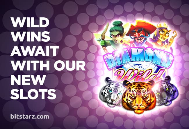 Wild Wins Await with Our New Slots