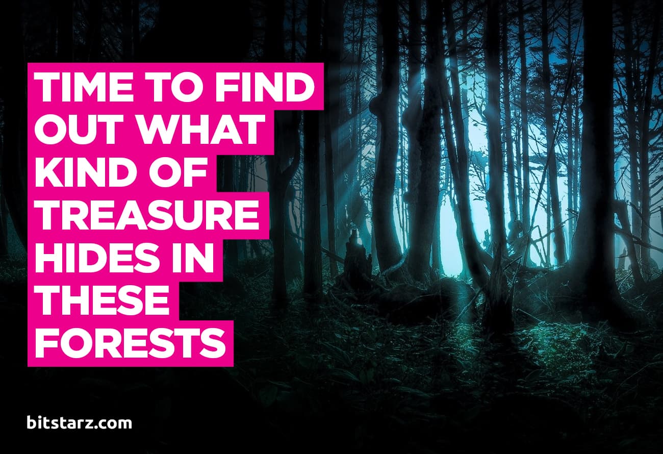 Time_to_Find_out_What_Kind_of_Treasure_Hides_in_These_Forests