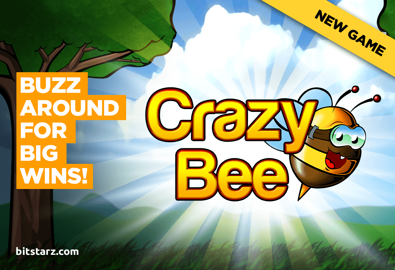 Crazy-Bee-themed-image