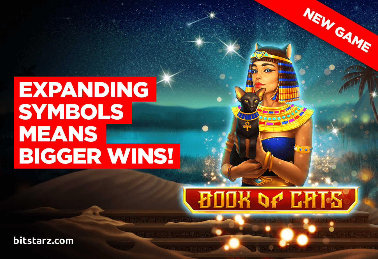 The-Special-Features-in-New-the-Book-of-Cats-Slot-Are-Sensational-themed-image