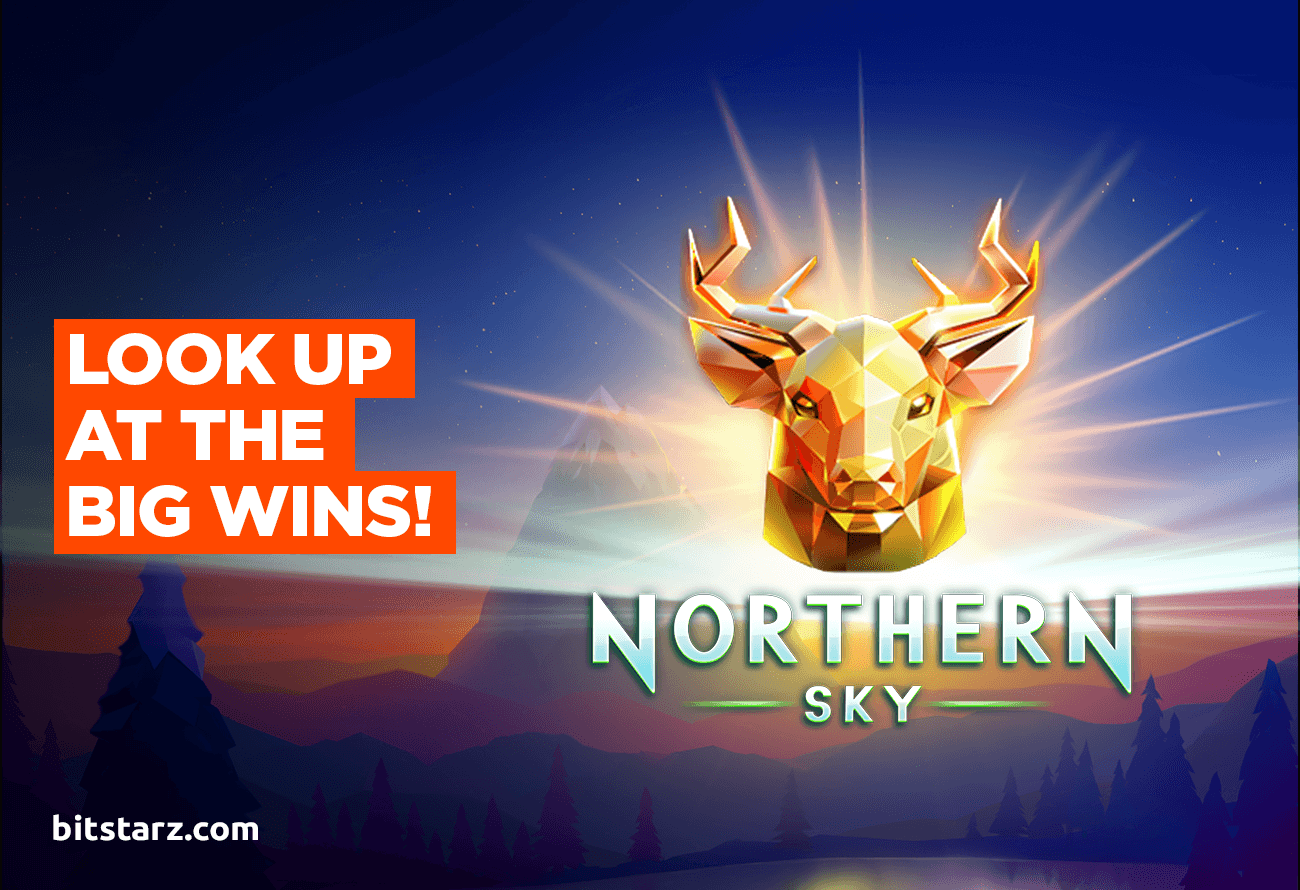 Get-Ready-for-the-Best-Views-of-Your-Life-in-Northern-Sky-Slot!