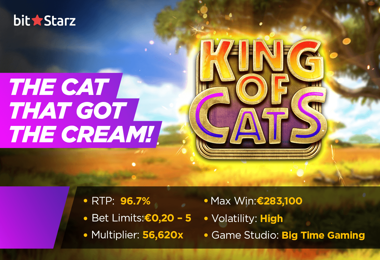 King-of-Cats-slot-serves-up-117,649-ways-to-win!