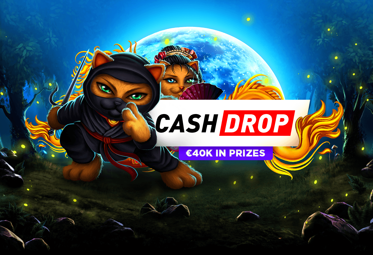 wazdancashdrop_blog