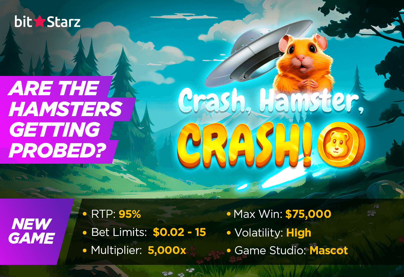 The-Name-Says-it-All-Crash,-Hamster,-Crash!-Slot