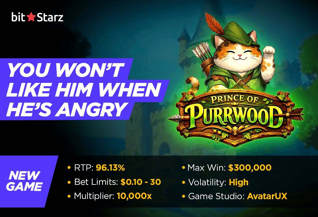 The-Prince-of-Purrwood-Slot-is-an-Alternate-Earth-Robin-Hood