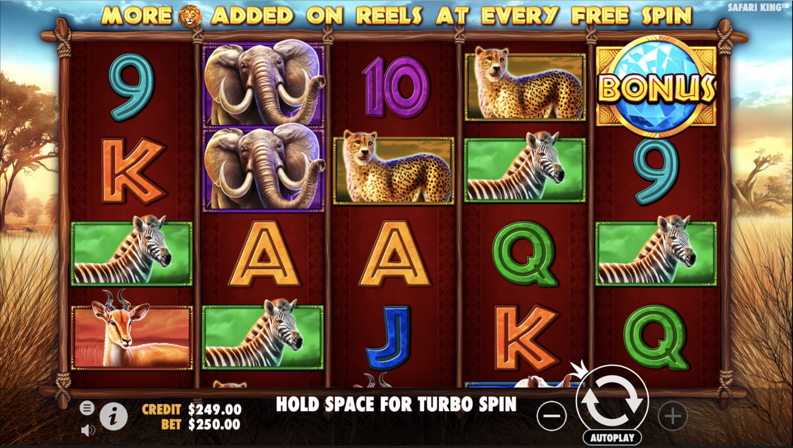 Safari-King-Slot