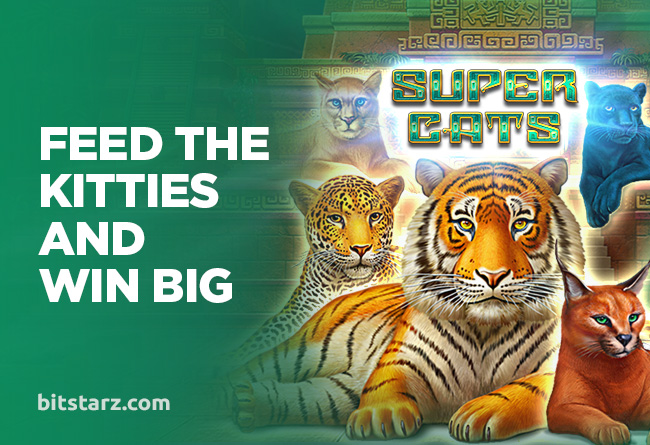Feed-the-Felines-to-Win-Big-in-Super-Cats-Slot