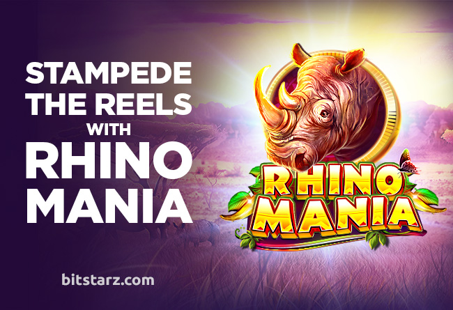 Stampede-the-Reels-with-Rhino-Mania