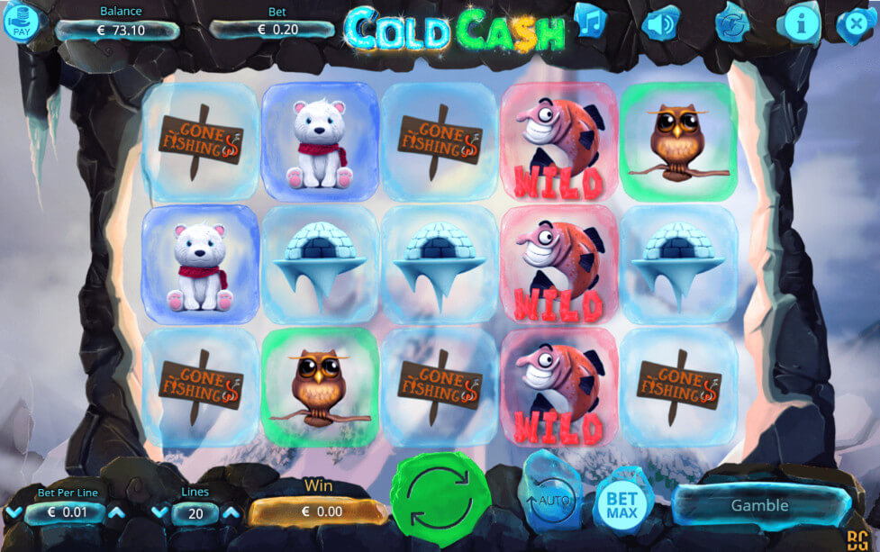 cold-cash[1]