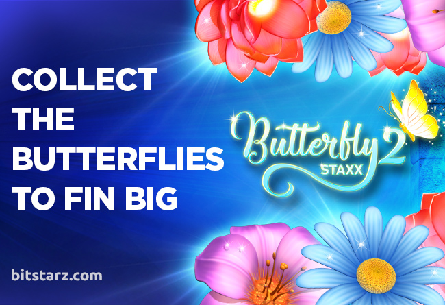 Flutter-Your-Way-to-Victory-in-Butterfly-Staxx-2-Slot