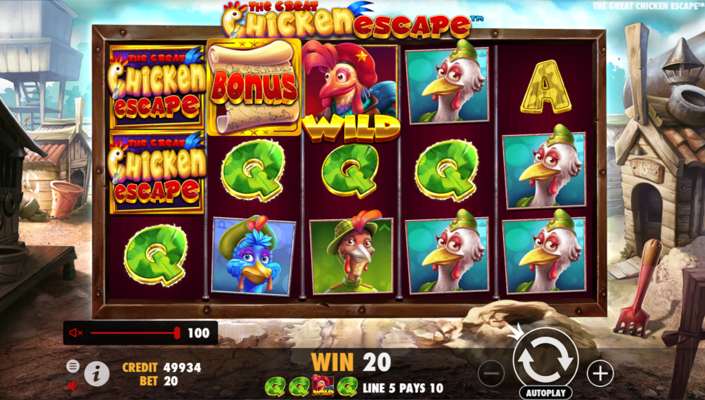 chicken1