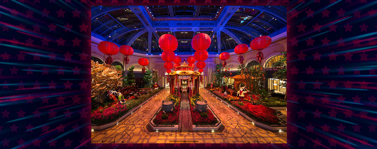 When_Good_Plans_Go_Wrong_in_Las_Vegas_special_image_01