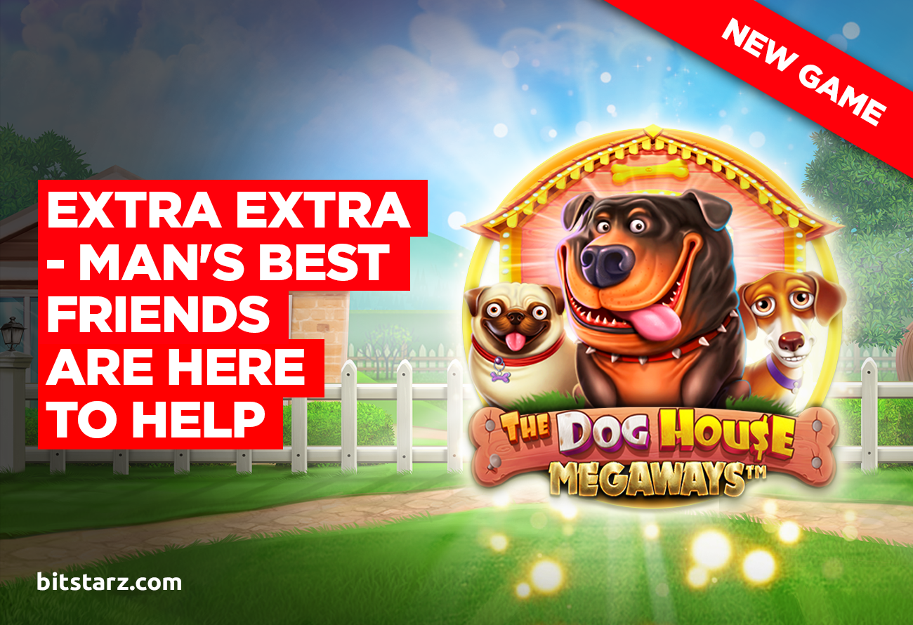 The-Crazy-Suburban-Hounds-Are-Back-in-The-Dog-House-Megaways-Slot-themed-image