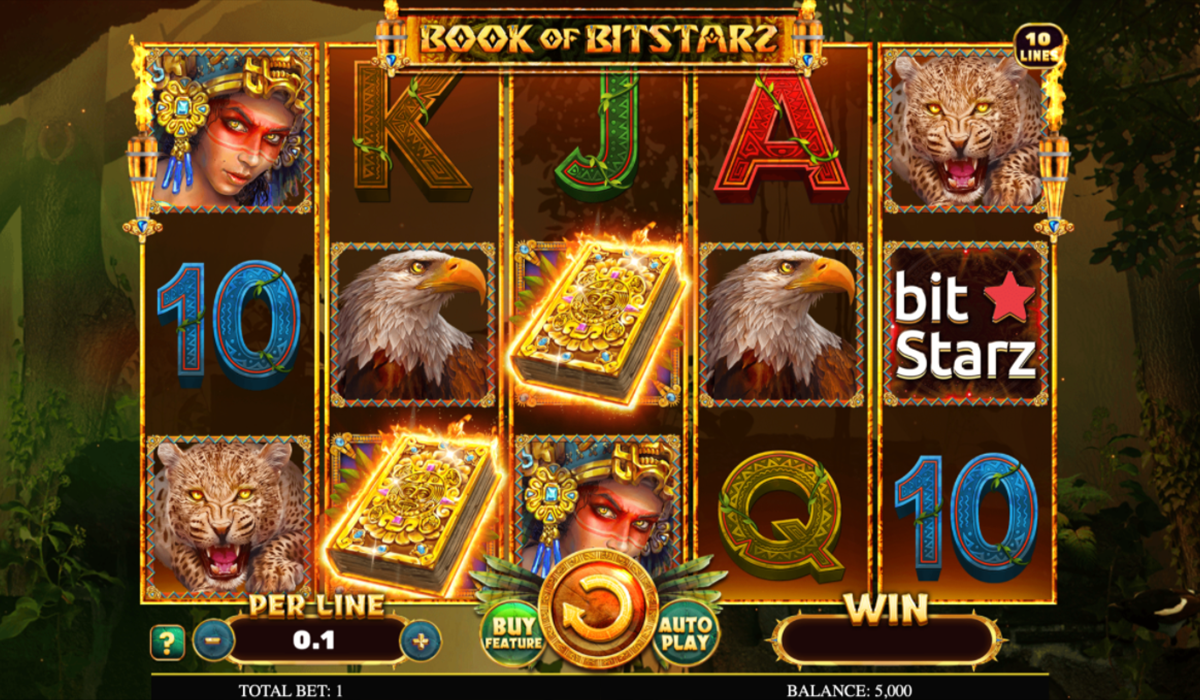 You-Asked-for-It-We-Delivered---Say-Hi-to-Book-of-BitStarz-Slot-special-image
