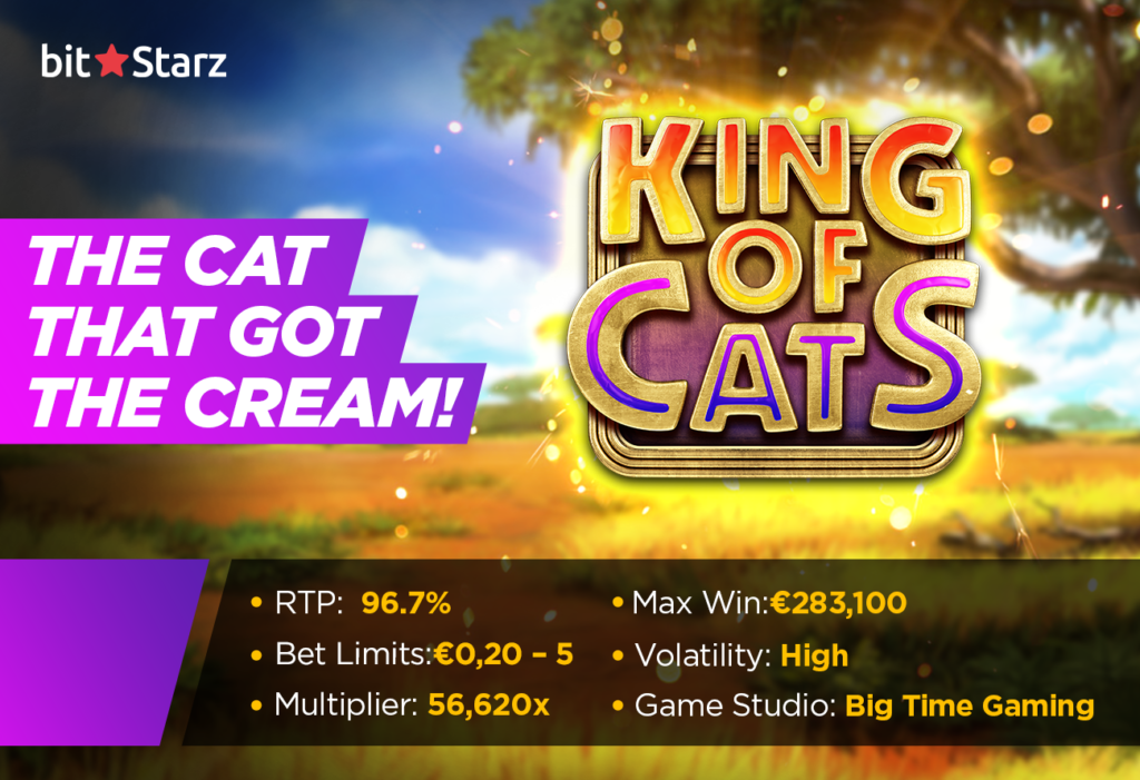 King-of-Cats-slot-serves-up-117,649-ways-to-win!