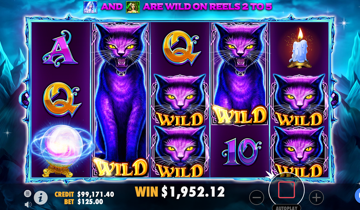 Unleash-the-power-of-the-elements-in-Wild-Spells-slot_special-image03