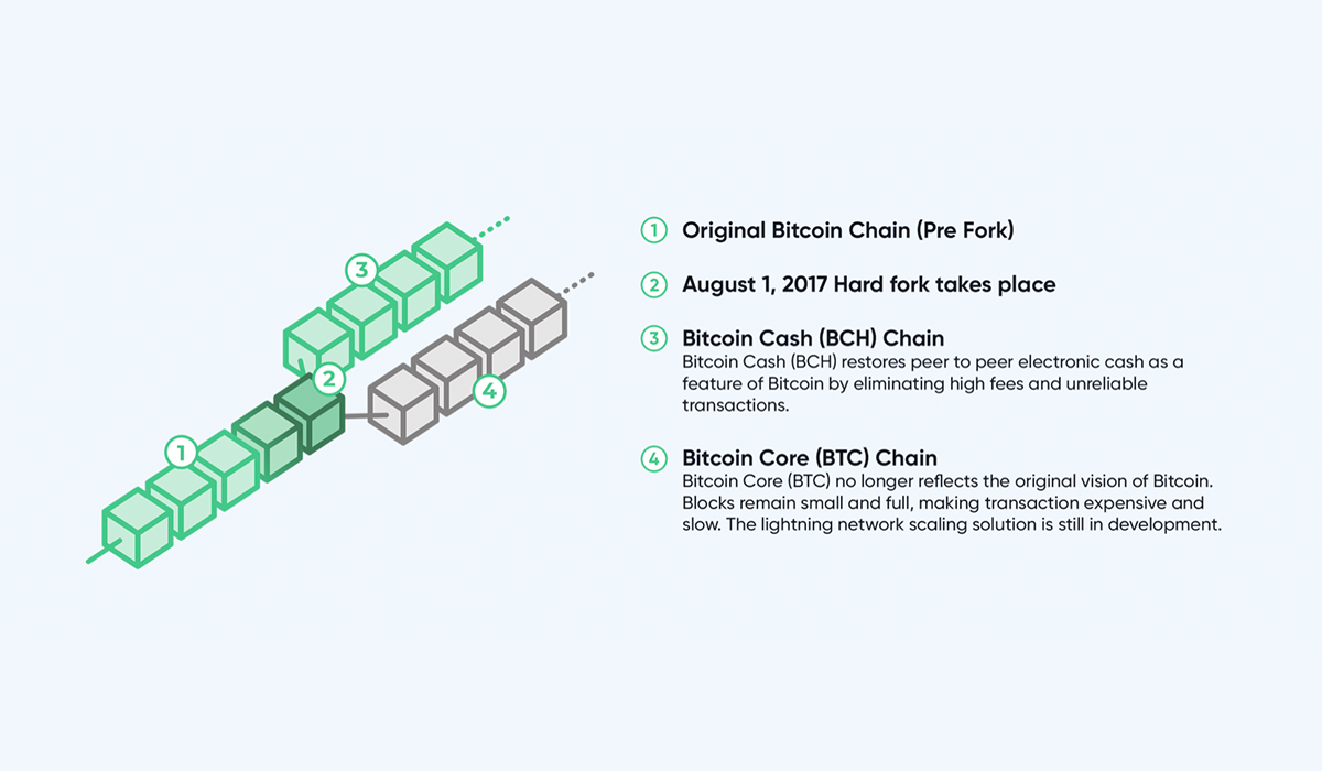 Want-to-bet-with-Bitcoin-Cash-Keep-on-reading!-special-image_04