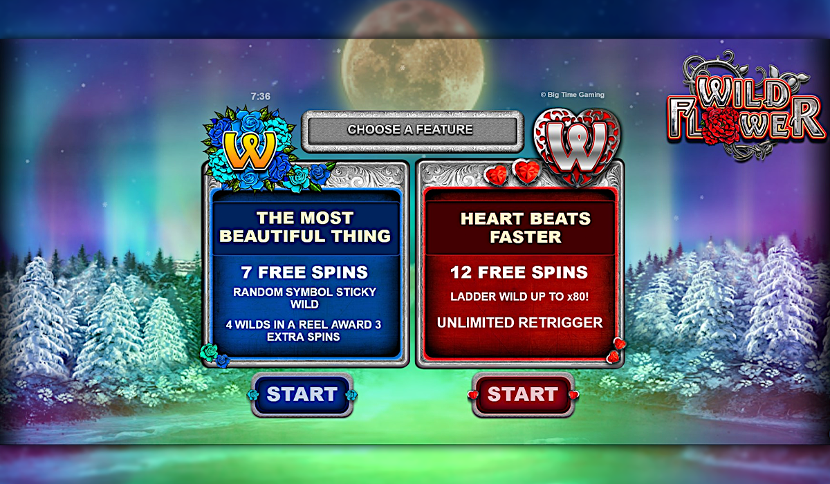 Pick-a-bouquet-of-blossoming-payouts-in-Wild-Flower-slot-special-image-02