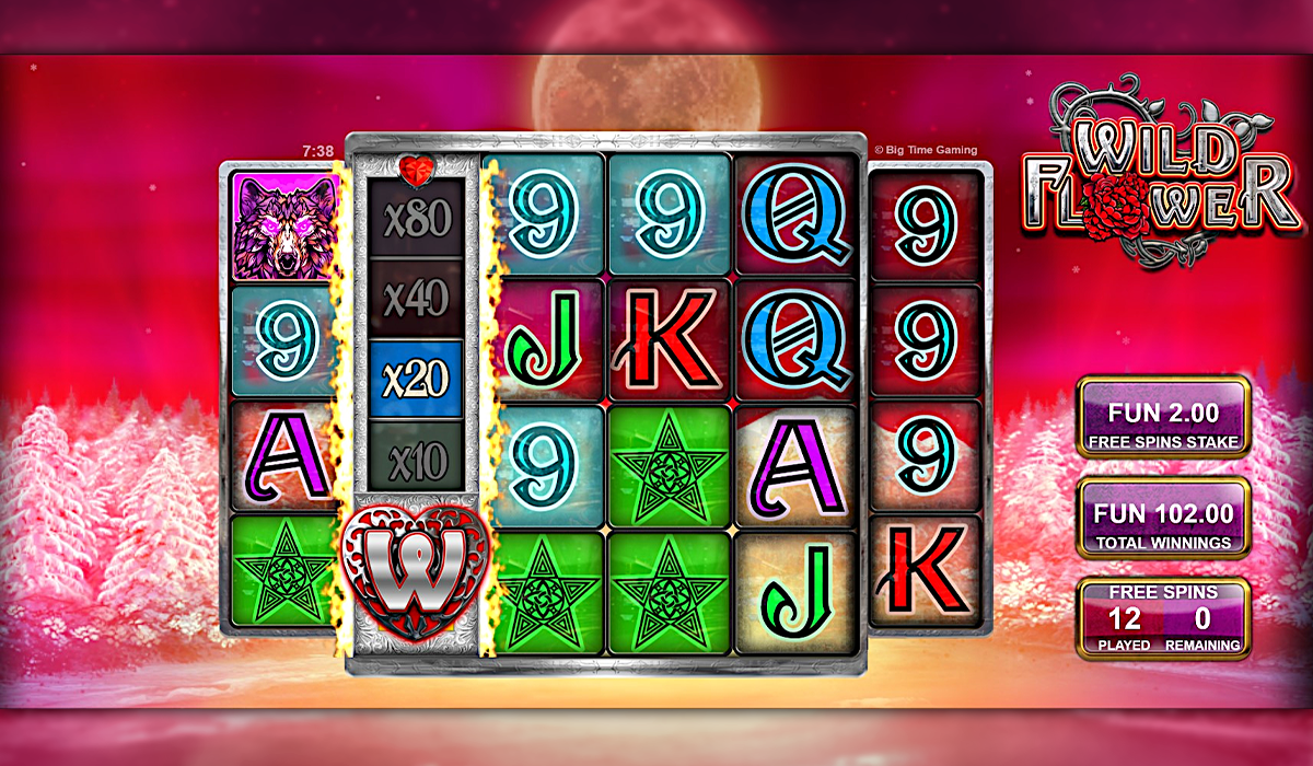 Pick-a-bouquet-of-blossoming-payouts-in-Wild-Flower-slot-special-image-03