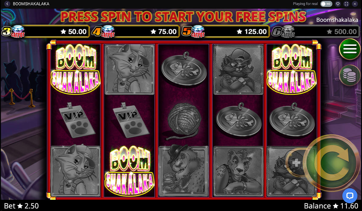 Party-with-the-coolest-cats-in-town-in-Boom-Shakalaka-slot-special-image-02