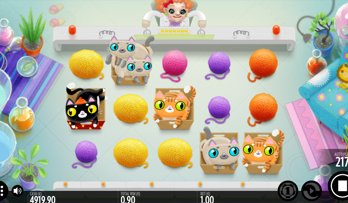 Not-Enough-Kittens-slot-is-simply-purrr-fect!special-image_01