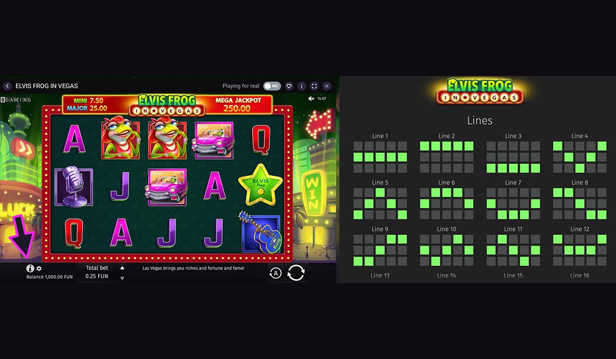 How-Many-Paylines-Should-You-Play_-special-image_02