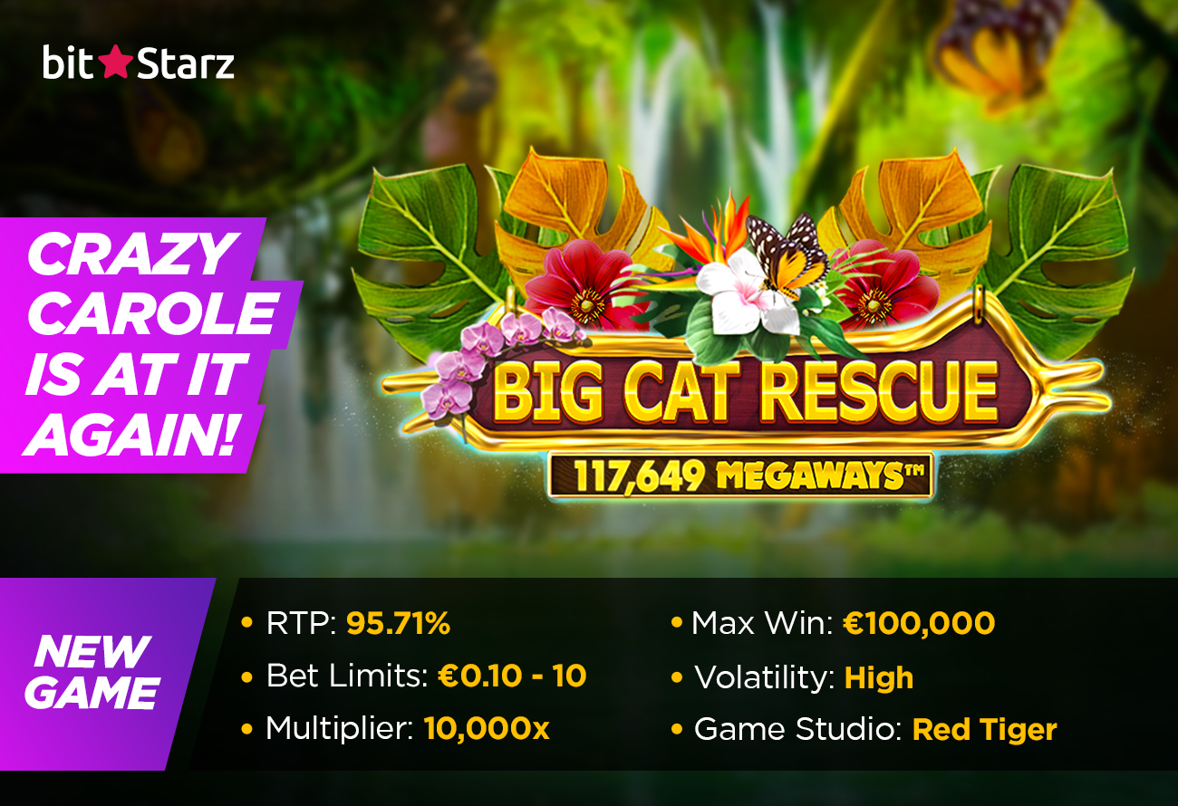 You’re-Askin_-for-a-Baskin-With-Big-Cat-Rescue-Megaways-Slot!