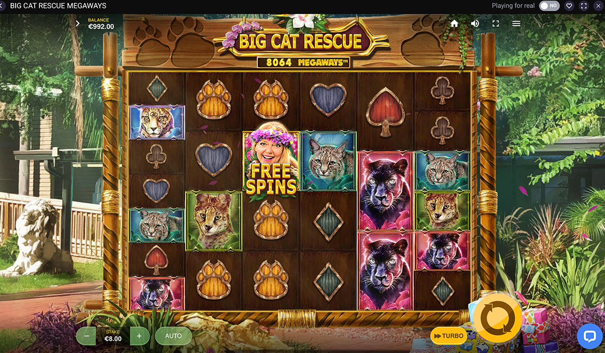 You’re-Askin_-for-a-Baskin-With-Big-Cat-Rescue-Megaways-Slot!_Special-Images_01