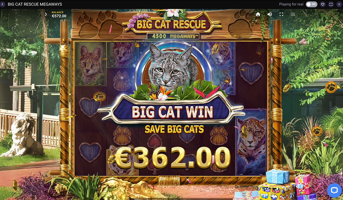 You’re-Askin_-for-a-Baskin-With-Big-Cat-Rescue-Megaways-Slot!_Special-Images_03