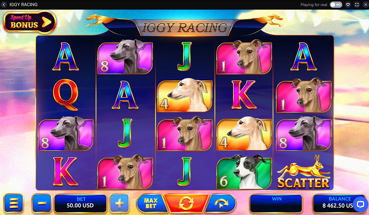 Tiny-Racer,-Take-Your-Mark-in-Iggy-Racing-Slot!_special-images_01
