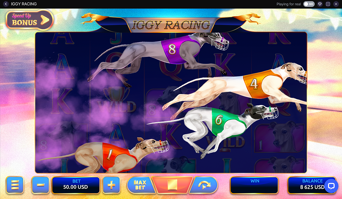 Tiny-Racer,-Take-Your-Mark-in-Iggy-Racing-Slot!_special-images_02