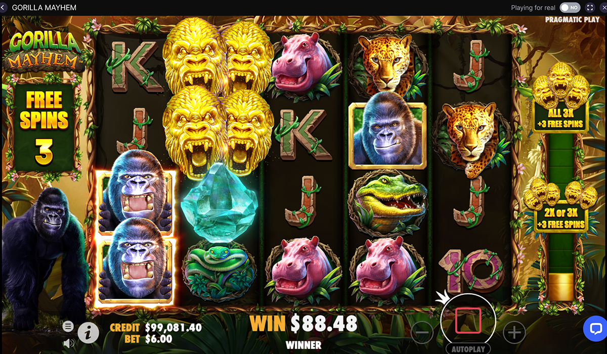 Welcome-to-Wherever-Gorilla-Mayhem-Slot-Is-Set!_special-images_03